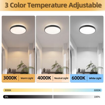 Brilagi - Plafonnier LED dimmable GLASS POOL DOUBLE LED/48W/230V 3000-6000K 40 cm noir + télécommande
