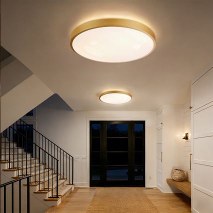 Brilagi - Plafonnier LED dimmable GLASS POOL DOUBLE LED/80W/230V 3000-6000K 60 cm doré + télécommande