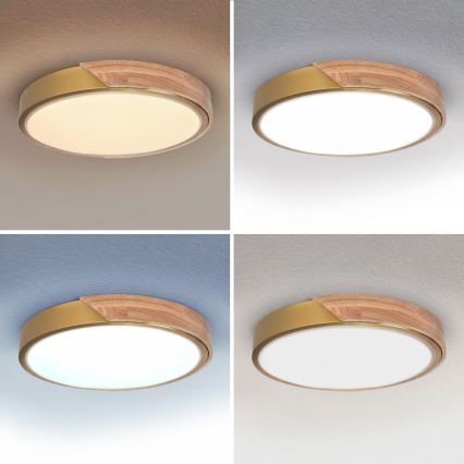 BRILAGI - plafonnier LED dimmable PILANA LED/48W/230V 3000–6500K chêne/doré Ø 40 cm + télécommande