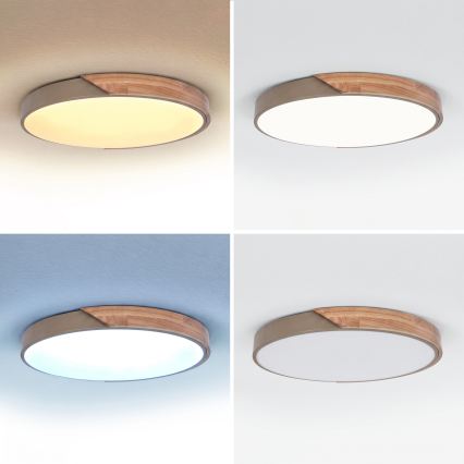 BRILAGI - LED Plafonnier dimmable PILANA LED/60W/230V 3000-6500K chêne/beige Ø 60 cm + télécommande