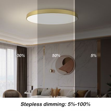 Brilagi - Plafonnier LED dimmable POOL SMART LED/180W/230V 3000-6000K 120 cm doré Wi-Fi Tuya + télécommande