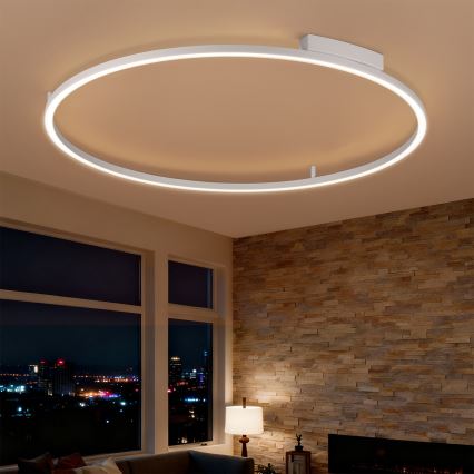 Brilagi - Plafonnier LED dimmable PORTOFINO LED/85W/230V 3000-6000K Ø 120 cm argenté + télécommande
