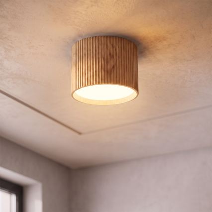 BRILAGI - Luminaire spot STRIPY 1xGX53/15W/230V 60x82 mm décor chêne