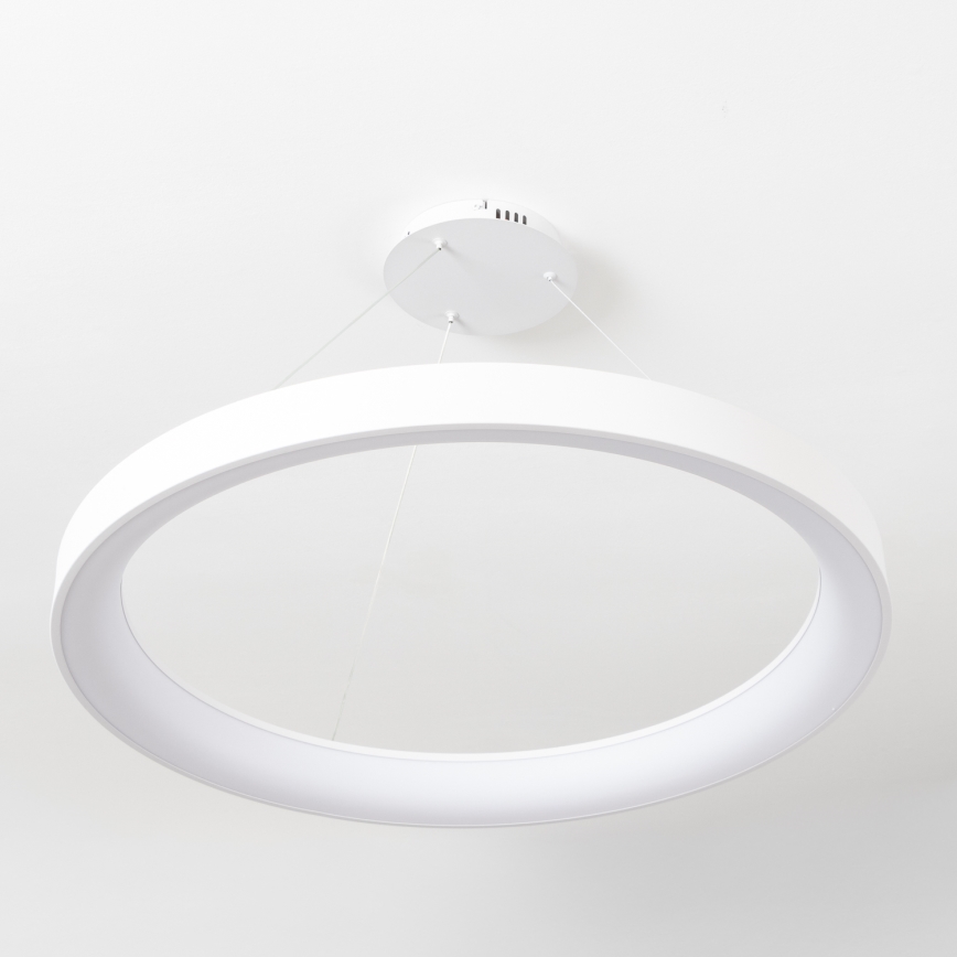 Brilagi - Lustre LED dimmable sur câble FALCON II LED/108W/230V 3000-6500K Ø 80 cm blanc + télécommande