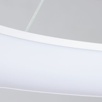 Brilagi - Lustre LED dimmable sur câble FALCON II LED/108W/230V 3000-6500K Ø 80 cm blanc + télécommande