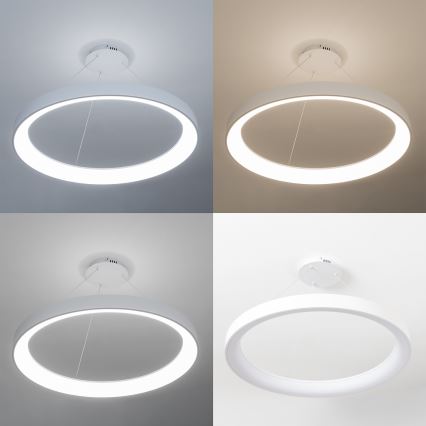 Brilagi - Lustre LED dimmable sur câble FALCON II LED/108W/230V 3000-6500K Ø 80 cm blanc + télécommande