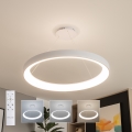 Brilagi - Lustre LED dimmable sur câble FALCON II LED/108W/230V 3000-6500K Ø 80 cm blanc + télécommande