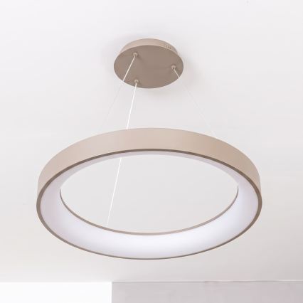 BRILAGI - Suspension LED dimmable sur câble FALCON II LED/99W/230V 3000-6500K Ø 60 cm beige + télécommande
