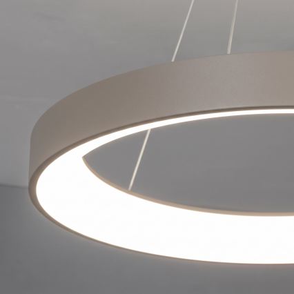BRILAGI - Suspension LED dimmable sur câble FALCON II LED/99W/230V 3000-6500K Ø 60 cm beige + télécommande
