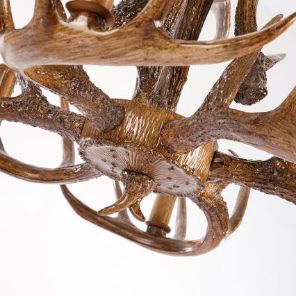 Brilagi - Lustre sur chaîne DEER 6xE14/10W/230V Ø 102 cm à décor de bois de cerf