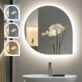 BRILAGI - Miroir de salle de bains LED RICADI LED/19W/230V 60x60 cm IP44 IRC 90 dimmable + CCT