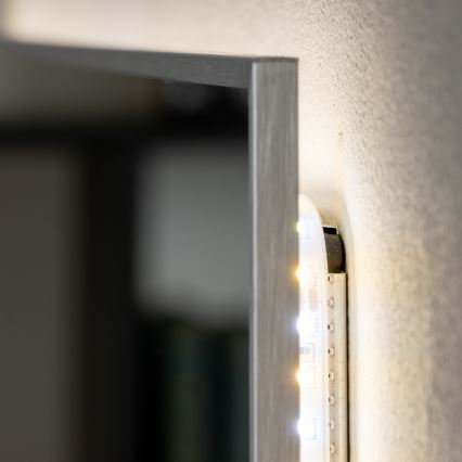 Brilagi - Miroir de salle de bains LED DESIO LED/20W/230V 40x60 cm argenté IP44 IRC 90 dimmable + CCT (température de couleur réglable)