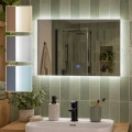 BRILAGI - miroir pour salle de bains LUCE LED/20W/230V 40x60 cm IP44 CRI 90 dimmable + CCT