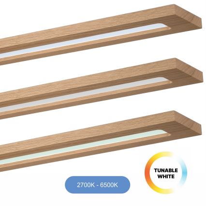 Brilagi - Panneau RGBW à intensité variable WOODY FRAME LED/34W/230V 11,5x123 cm 2700-6500K chêne + télécommande