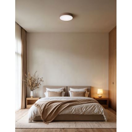 Brilagi - Plafondlamp CLARE 1xE27/40W/230V Ø 20 cm bruin