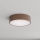 Brilagi - Plafondlamp CLARE 2xE27/40W/230V Ø 30 cm bruin