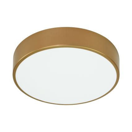 Brilagi - Plafondlamp CLARE 3xE27/40W/230V diameter 40 cm goud