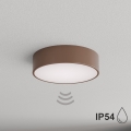 Brilagi - Plafondlamp CLARE voor badkamer met bewegings- en schemersensor, 2xE27/24W/230V, Ø 30 cm, bruin, IP54