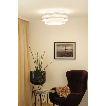 Brilagi - Plafondlamp DOVER SPACE LED/12W/230V diameter 50 cm 3000K/4000K/6400K grijs/crème