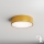 Brilagi - Plafondlamp met sensor CLARE 2xE27/40W/230V diameter 30 cm goud