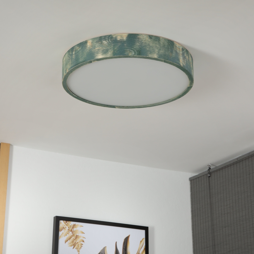 Brilagi - Plafondlamp PINO 3xE27/15W/230V grenen/groen Ø 47,5 cm