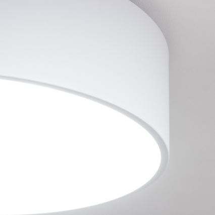 Brilagi - Plafondlamp POOL voor badkamer 3x E27/15W/230V Ø 40 cm IP54 wit