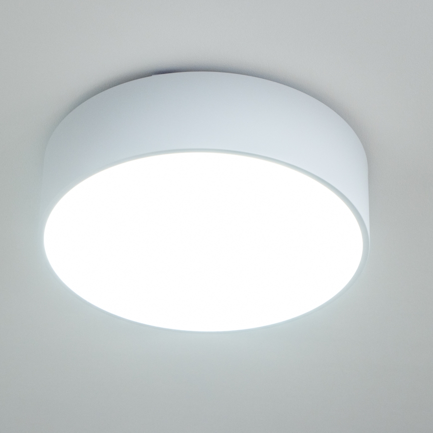 Brilagi - Plafondlamp POOL voor badkamer 3x E27/15W/230V Ø 40 cm IP54 wit
