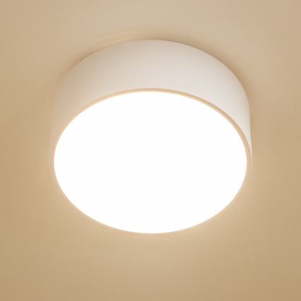 Brilagi - Plafondlamp voor de badkamer POOL 2xE27/15W/230V Ø 30 cm IP54 wit