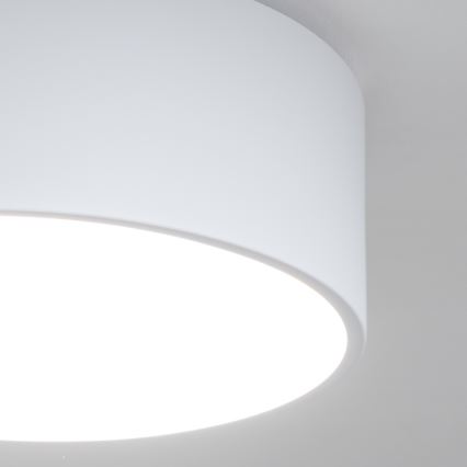 Brilagi - Plafondlamp voor de badkamer POOL 2xE27/15W/230V Ø 30 cm IP54 wit