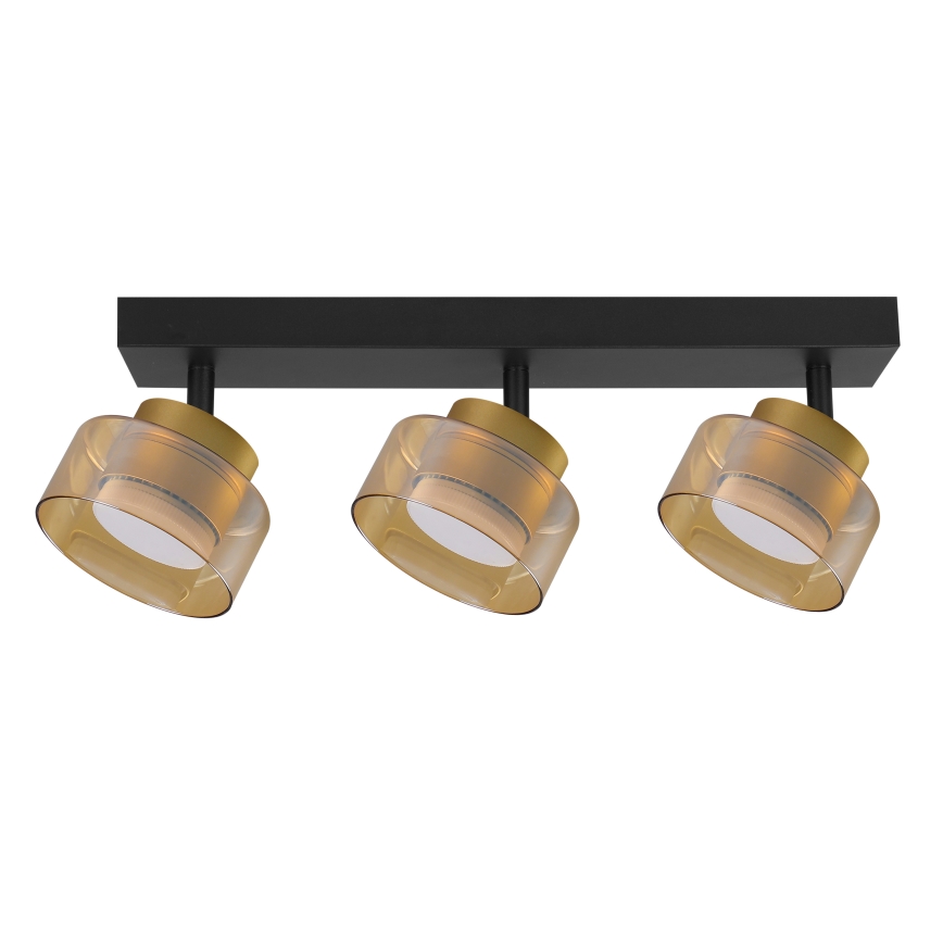 Brilagi - Plafondspot AURA LUX 3xGX53/30W/230V zwart/goud