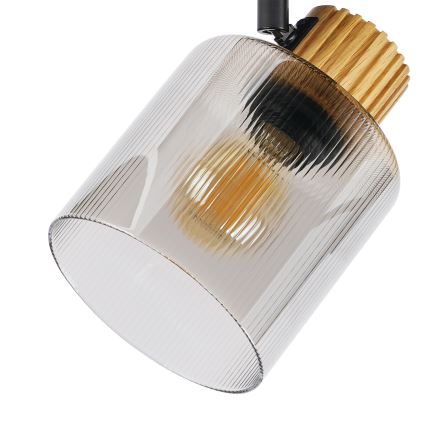 Brilagi - Plafondspot HYGGE 2xE14/15W/230V zwart/gerookt glas