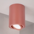 BRILAGI - Plafondspot MIA 1xGU10/30W/230V 100x80 mm bruin