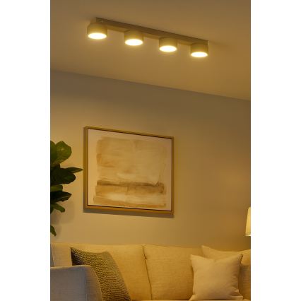 Brilagi - Plafondspot MONO 4xGX53/12W/230V beige