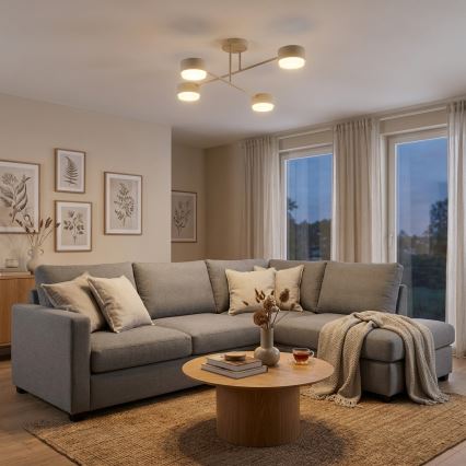 Brilagi - Plafonnier 4xGX53/12W/230V noir