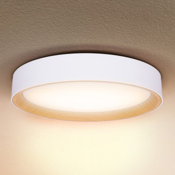 Brilagi - Plafonnier à intensité variable LARIOS LED/48W/230V 3000-6500K ø 39 cm blanc + Télécommande