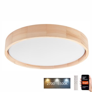 Brilagi - Plafonnier à intensité variable MANAROLA SMART LED/24W/230V 2700-6500K d. 41 cm Wi-Fi + télécommande Tuya