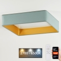 Brilagi - Plafonnier à intensité variable VELVET SQUARE SMART LED/36W/230V 2700-6500K Wi-Fi Tuya + télécommande menthe