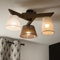 Brilagi - Plafonnier ANTHONY 3xE14/40W/230V chêne noyer
