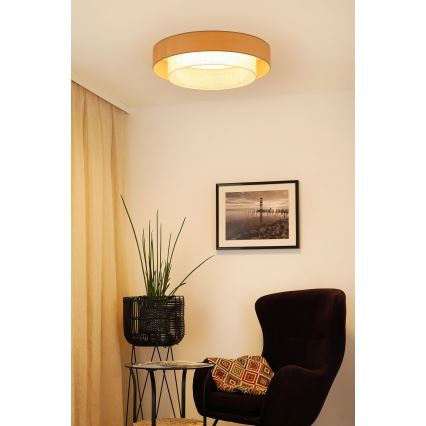 Brilagi - Plafonnier ARIZONA BOHO LED/26W/230V d. 60 cm beige