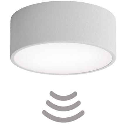 Brilagi - Plafonnier avec détecteur CLARE 1xE27/40W/230V d. 20 cm gris