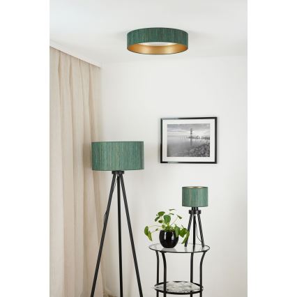 Brilagi - Plafonnier BOSTON ROLLER LED/24W/230V d. 45 cm paille vert/doré
