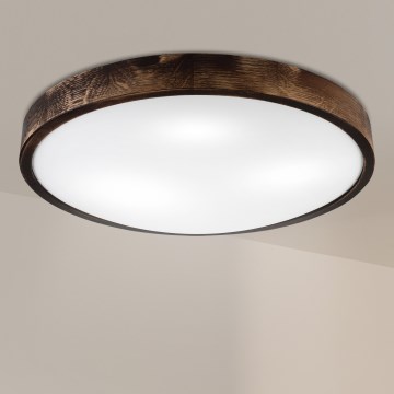 Brilagi - Plafonnier CARVALHO SLIM SMOKEY 3xE27/60W/230V chêne Ø 47,5 cm