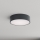Brilagi - Plafonnier de salle de bains CLARE 2xE27/24W/230V Ø 30 cm anthracite IP54