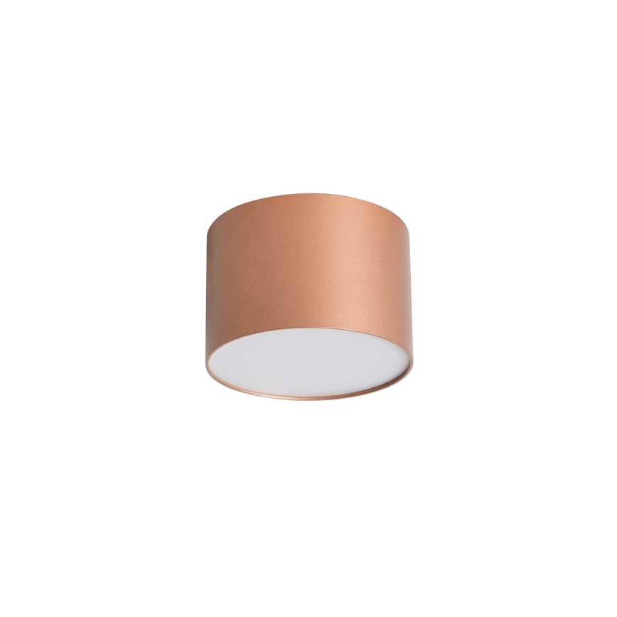BRILAGI - Plafonnier pour salle de bains FORIS LED/9W/230V Ø 9 cm bronze IP44 CRI 90