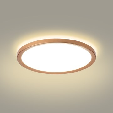 Brilagi - Plafonnier de salle de bains ULTRA SLIM LED/24W/230V Ø 42 cm or rose IP54