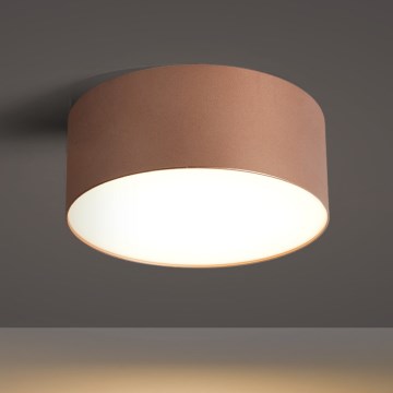 BRILAGI - Plafonnier d'extérieur FORIS LED/20W/230V Ø 15 cm bronze IP44