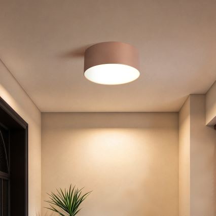 BRILAGI - Plafonnier d'extérieur FORIS LED/20W/230V Ø 15 cm bronze IP44