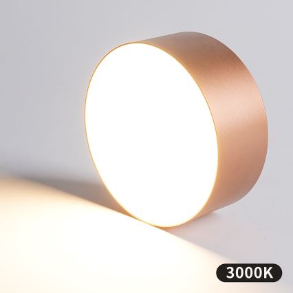 BRILAGI - Plafonnier d'extérieur FORIS LED/20W/230V Ø 15 cm bronze IP44