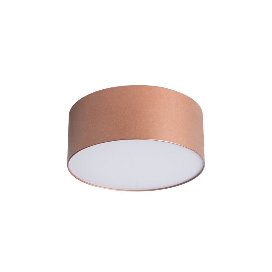 BRILAGI - Plafonnier d'extérieur FORIS LED/20W/230V Ø 15 cm bronze IP44