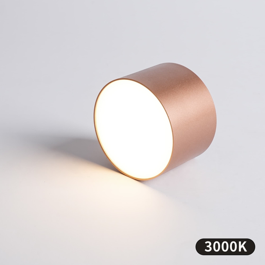 BRILAGI - Plafonnier d'extérieur FORIS LED/9W/230V Ø 9 cm bronze IP44